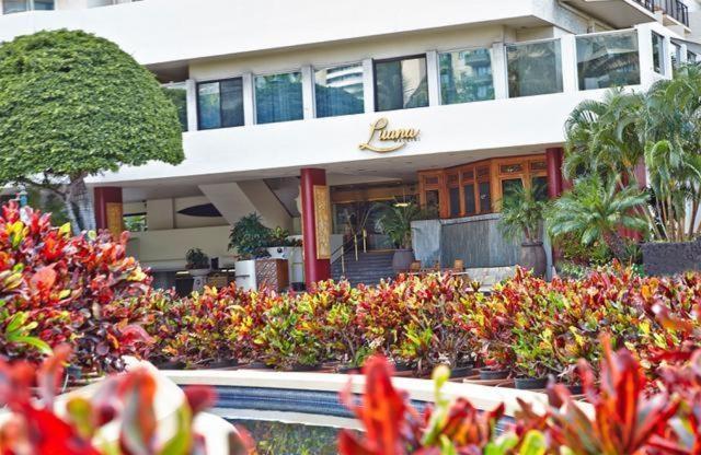 Alluring Luana Waikiki Villa Honolulu Dış mekan fotoğraf